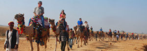 holidays in Rajasthan