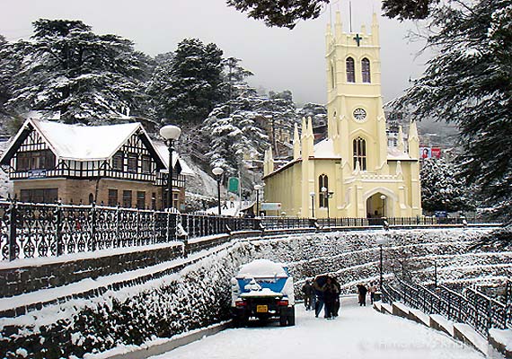 Tour and Travel Shimla